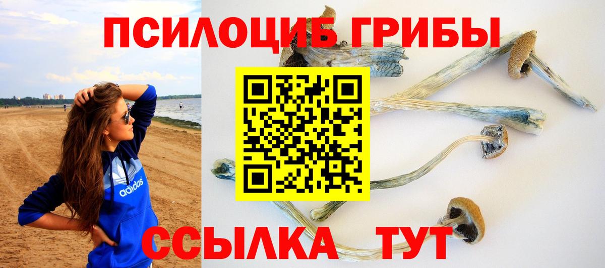 Галлюциногенные грибы GOLDEN TEACHER  Вход с VPN  Гусев 