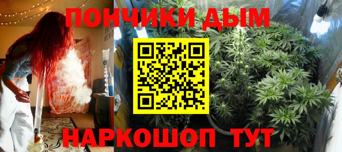 Бошки Шишки марихуана Гусев